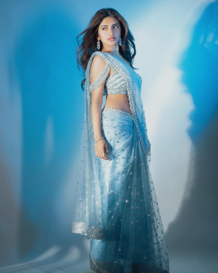 Sreeleela Looks Ethereal in a Shimmery Sky Blue Saree 944160