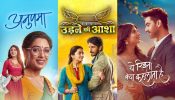 TRP Ratings 4 April: Anupamaa Remains On Top; Udne Ki Aasha and Yeh Rishta Kya Kehlata Hai Follow 943217