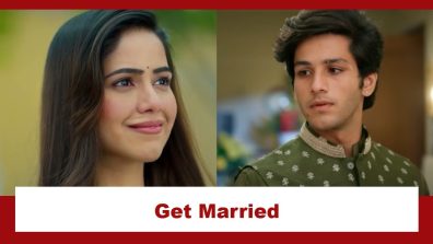 Vasudha Upcoming Twist: Avinash and Divya get married; Chandrika gets relieved