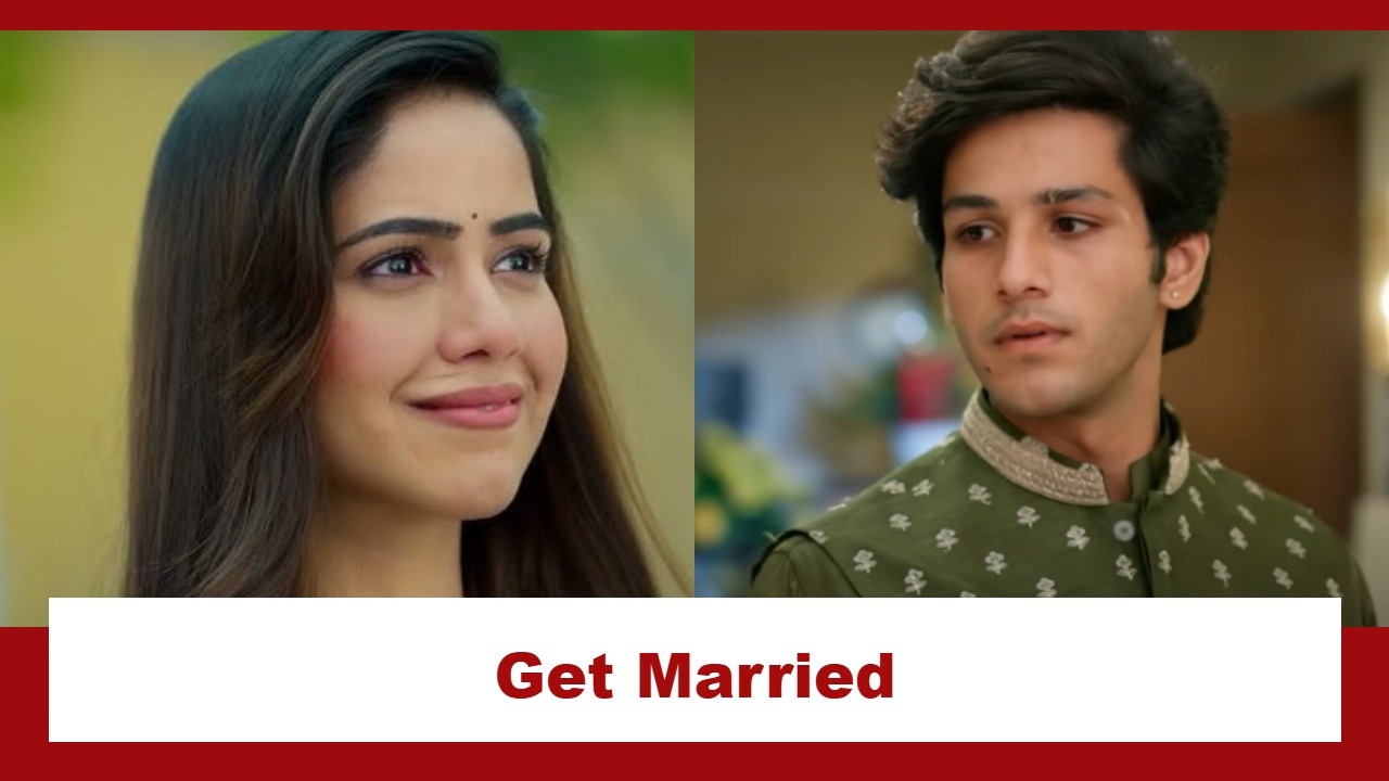 Vasudha Upcoming Twist: Avinash and Divya get married; Chandrika gets relieved 944977