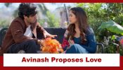 Vasudha Upcoming Twist: Avinash proposes love to Divya; Will Chandrika get to know of it? 943105