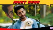 Zoey follows us around the house like our little shadow: Kunal Jaisingh on the occasion of National Pet Day