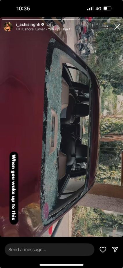 Ashi Singh Wakes Up To Disaster, Shares Frightening Glimpse Of Her Car's Shattered Windows 947168