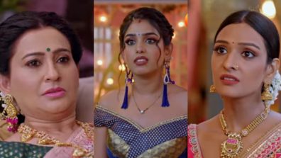 Bhagya Lakshmi Written Update 21 May 2025: Malishka Conspires To Ruin Lakshmi’s Image, Plans To Kill Neelam