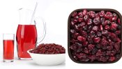 Cranberries: The Tiny Berry That’s Transforming Indian Wellness Routines
