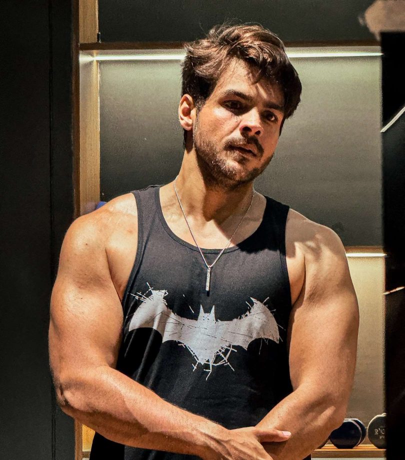 Digital Icon to Fitness Icon: Times when Ashish Chanchlani’s Jaw-Dropping Fitness Pictures Left Us In Awe 948720