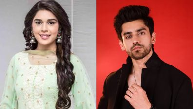 Eisha Singh & Avinash Mishra’s Post: ‘Some di*kheads need to move on from a show’