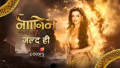Ekta Kapoor’s ‘Naagin 7’ Cast Finalised; Show To Go On Air THIS Date 948084