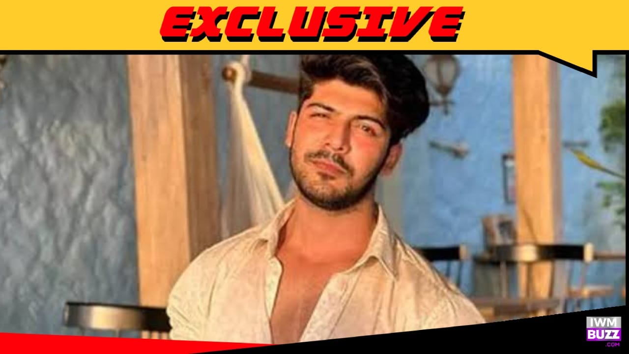 Exclusive: Sheezan Khan to play the lead in Ravie Dubey and Sargun Mehta's Zee TV show 949898
