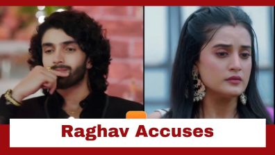 Jaane Anjaane Hum Mile Upcoming Twist: Raghav accuses Reet of cheating him; Reet walks out of the house