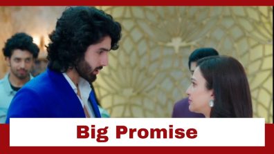 Jaane Anjaane Hum Mile Upcoming Twist: Raghav celebrates Mother’s Day; Neeta asks for a big promise