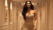 Karishma Tanna In Her Golden Hour Glam Moment 946645