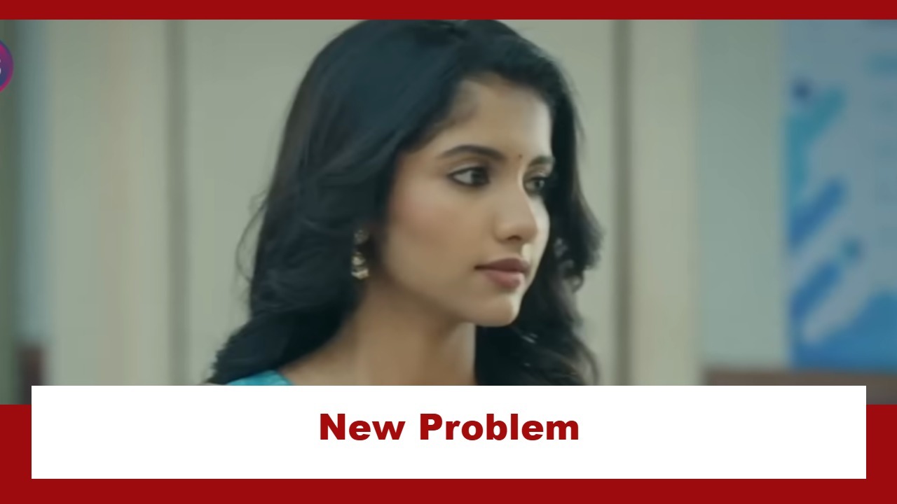 Pocket Mein Aasmaan Upcoming Twist: Anisha throws a new problem at Rani; Aayi reaches Digvijay's hospital to meet Rani 948343