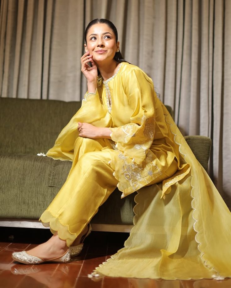 Shehnaaz Gill's Desi Girl Vibe In Aesthetic Suits That Have Us Swooning 947150