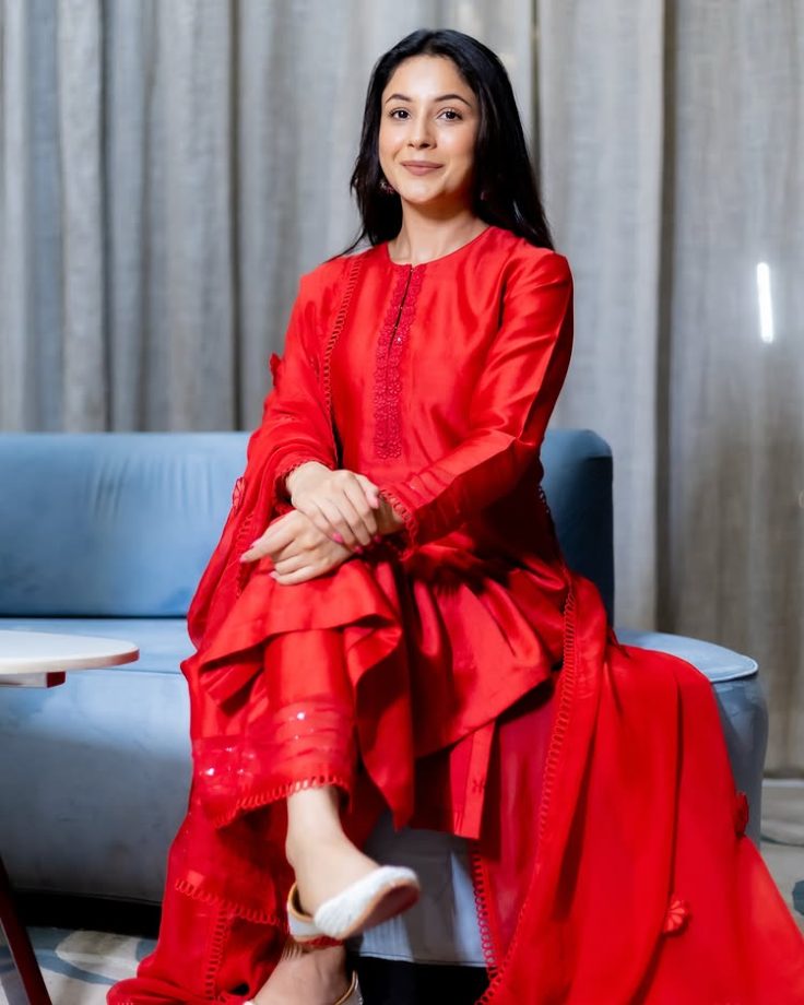 Shehnaaz Gill's Desi Girl Vibe In Aesthetic Suits That Have Us Swooning 947151