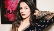 Shehnaaz Gill's Desi Girl Vibe In Aesthetic Suits That Have Us Swooning 947138