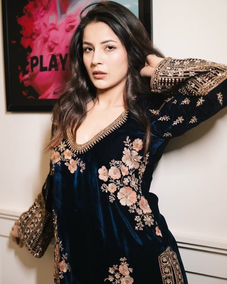 Shehnaaz Gill's Desi Girl Vibe In Aesthetic Suits That Have Us Swooning 947143