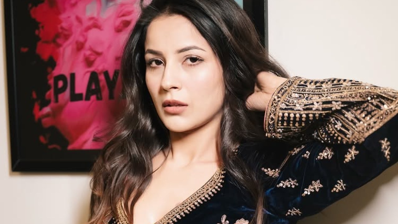 Shehnaaz Gill's Desi Girl Vibe In Aesthetic Suits That Have Us Swooning 947138