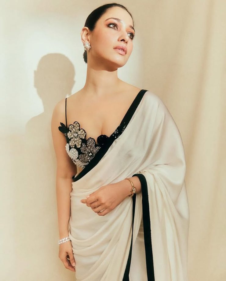 Tamannaah Bhatia Sets the Bar in Sheer Saree Glam 946640