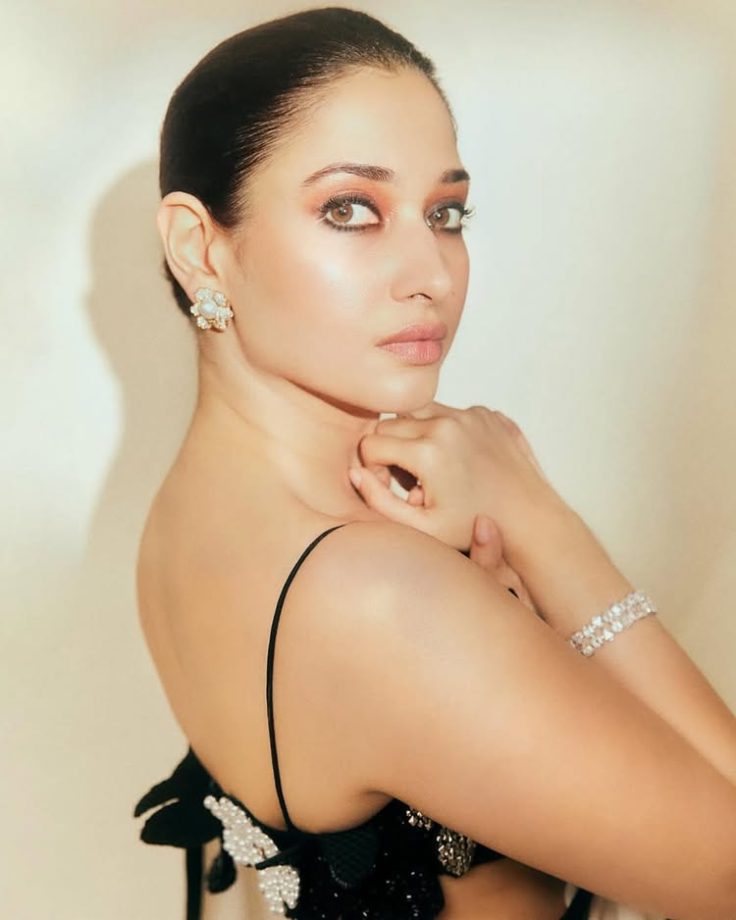 Tamannaah Bhatia Sets the Bar in Sheer Saree Glam 946643
