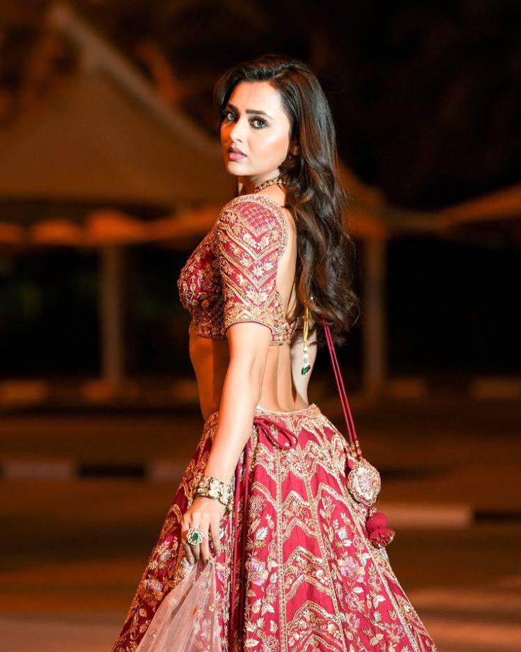 Tejasswi Prakash's Bridal Look Steals the Show 948289