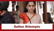 Udne Ki Aasha Upcoming Twist: Sailee attempts to bring peace to the house; Will she succeed? 949794