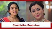 Vasudha Upcoming Twist: Chandrika demotes Vasudha; gives her charge of the kitchen 950111