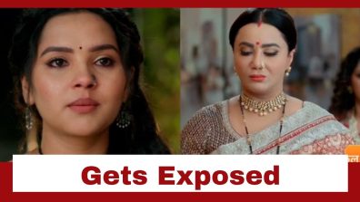 Vasudha Upcoming Twist: Vasudha’s secret gets exposed; Chandrika slaps her