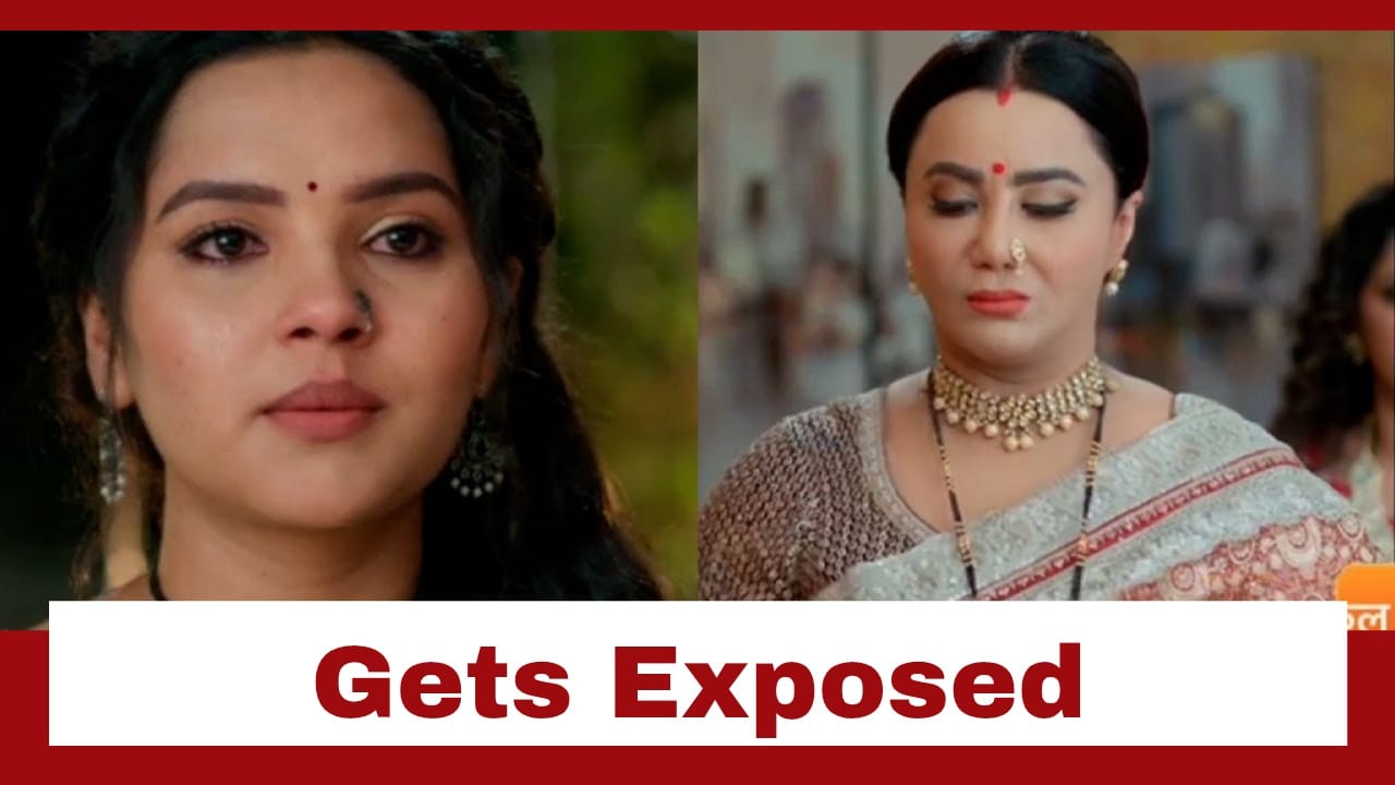Vasudha Upcoming Twist: Vasudha's secret gets exposed; Chandrika slaps her 947959