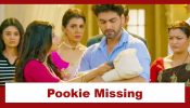 Yeh Rishta Kya Kehlata Hai Upcoming Twist: OMG!! Pookie goes missing; Abhira's frantic search on the roads 947795