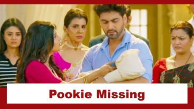 Yeh Rishta Kya Kehlata Hai Upcoming Twist: OMG!! Pookie goes missing; Abhira’s frantic search on the roads