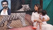 A Tigress Named Klin Kaara After Ram Charan’s Daughter on Her 2nd Birthday 952647
