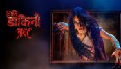 Aami Dakini Cast Hitesh Bharadwaj As Ayaan And Rachi Sharma As Meera: Check Show Time & More Updates 954415