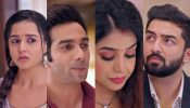 Bhagya Lakshmi Serial Spoiler: Aayush Cancels His Marriage With Shalu - Is This Malishka's Victory? 950960