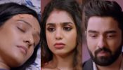 Bhagya Lakshmi Serial Spoiler: Rishi Becomes Emotional, Taunts Lakshmi For Separating Him From Neelam 952819