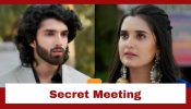 Jaane Anjaane Hum Mile Upcoming Twist: Raghav-Reet's secret meeting; Raghav seeks  promise 952833