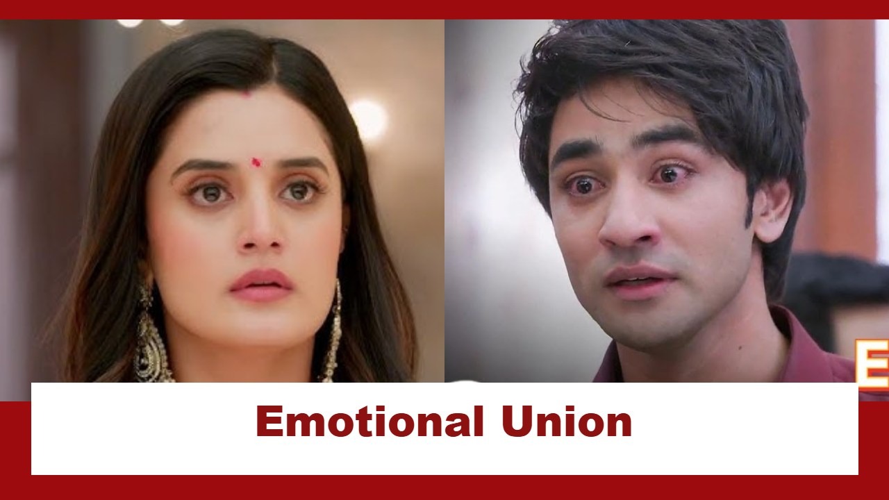 Jaane Anjaane Hum Mile Upcoming Twist: Reet and Dhruv's emotional union; Will she bring him home? 952334