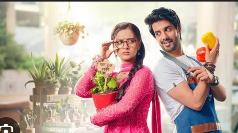 Kabhi Neem Neem Kabhi Shahad Shahad Cast Abrar Qazi As Uday And Afia Tayebali as Katha: Check Show Time And More Updates 954027