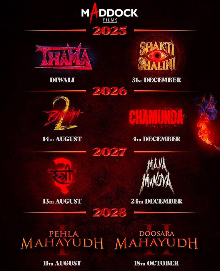 Looking at 5 most exciting cinematic universes in Indian Film Industry right now! 954308