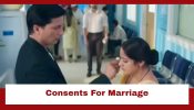 Mangal Lakshmi Upcoming Twist: Mangal gives her consent for marriage; Kapil shocked to know about it 953061