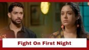 Meri Bhavya Life Upcoming Twist: Rishank and Bhavya's eventful first night; get into a fight 952304