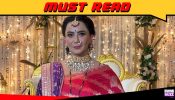 Nausheen Ali Sardar opens up about the Zee TV show Vasudha being a differentiator with a unique story line 953854