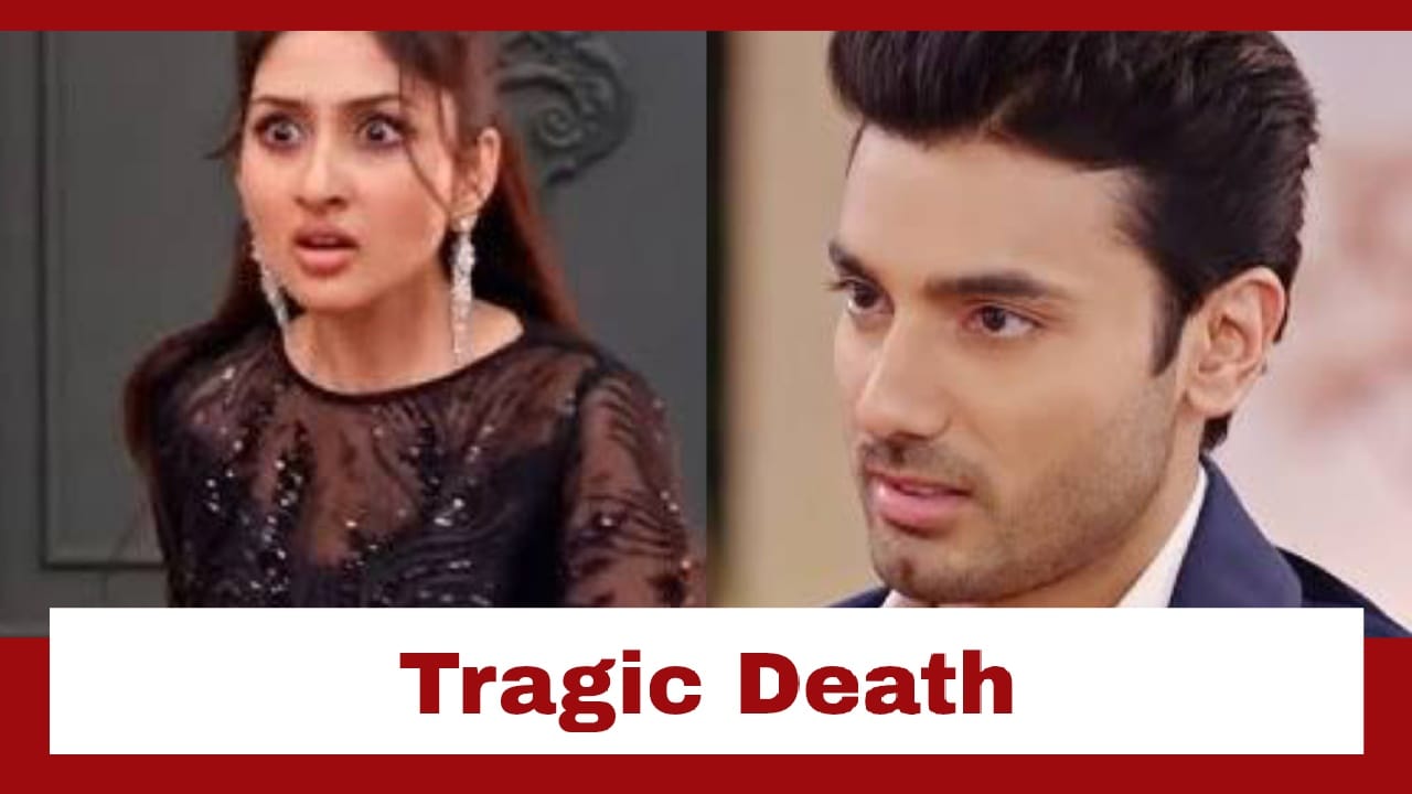 Parineetii Upcoming Twist: Pari and Rajeev meet with an accident; tragic deaths to follow 950458