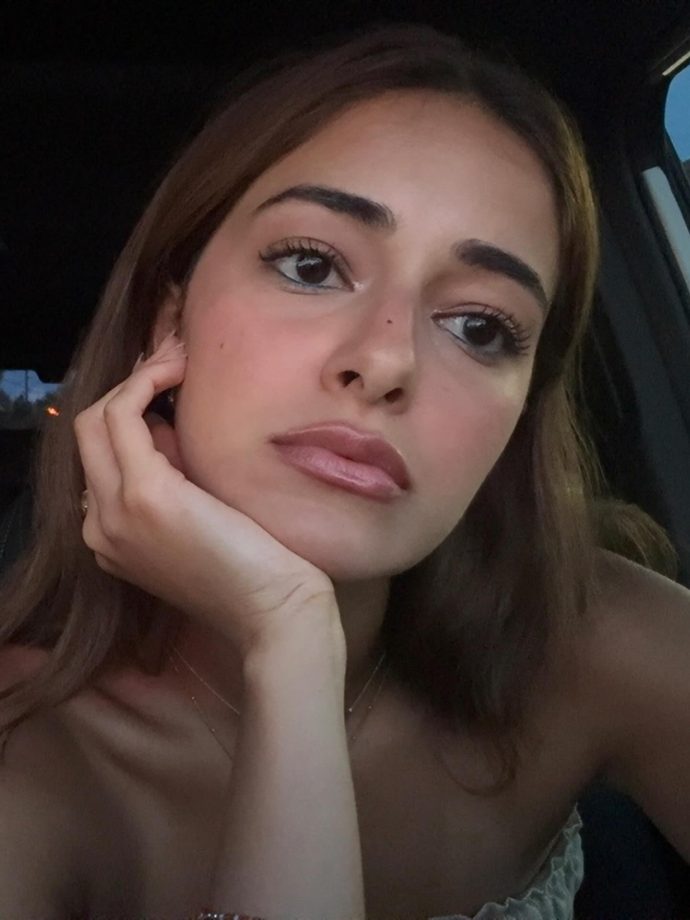 Peek Into Ananya Panday's Adventurous And Foodie Miami Vacation 953384