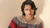 Shaheer Sheikh Drops Insights From His Palatial House In His Hometown Jammu And Kashmir 951050