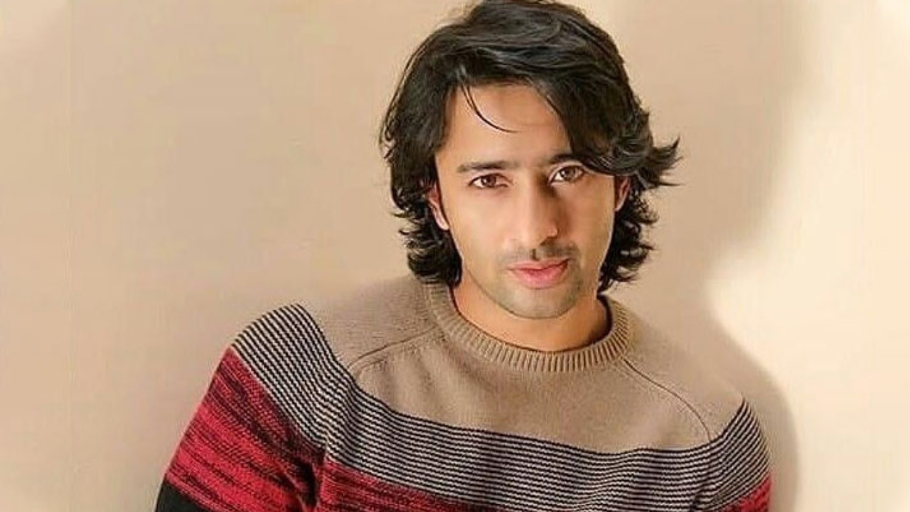 Shaheer Sheikh Drops Insights From His Palatial House In His Hometown Jammu And Kashmir 951050