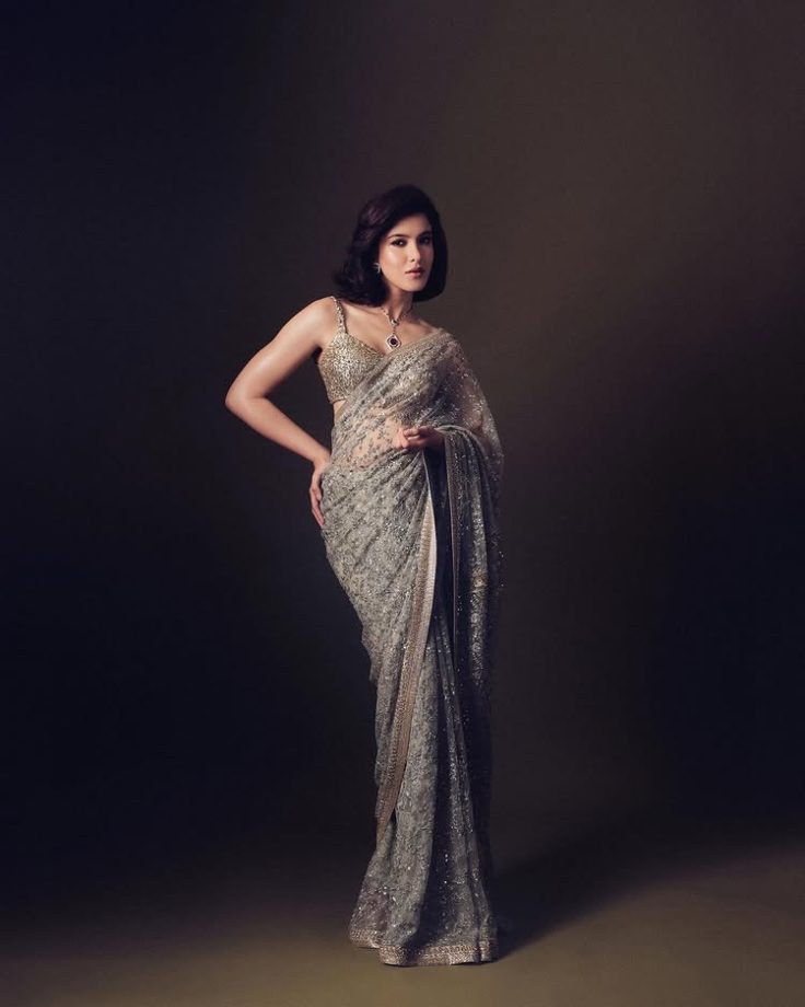 Shanaya Kapoor’s Silver-Gold Saree Elegance 952025