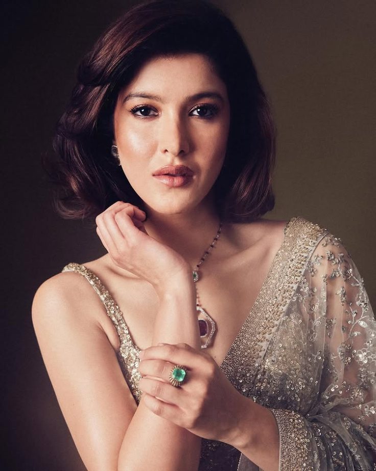 Shanaya Kapoor’s Silver-Gold Saree Elegance 952027