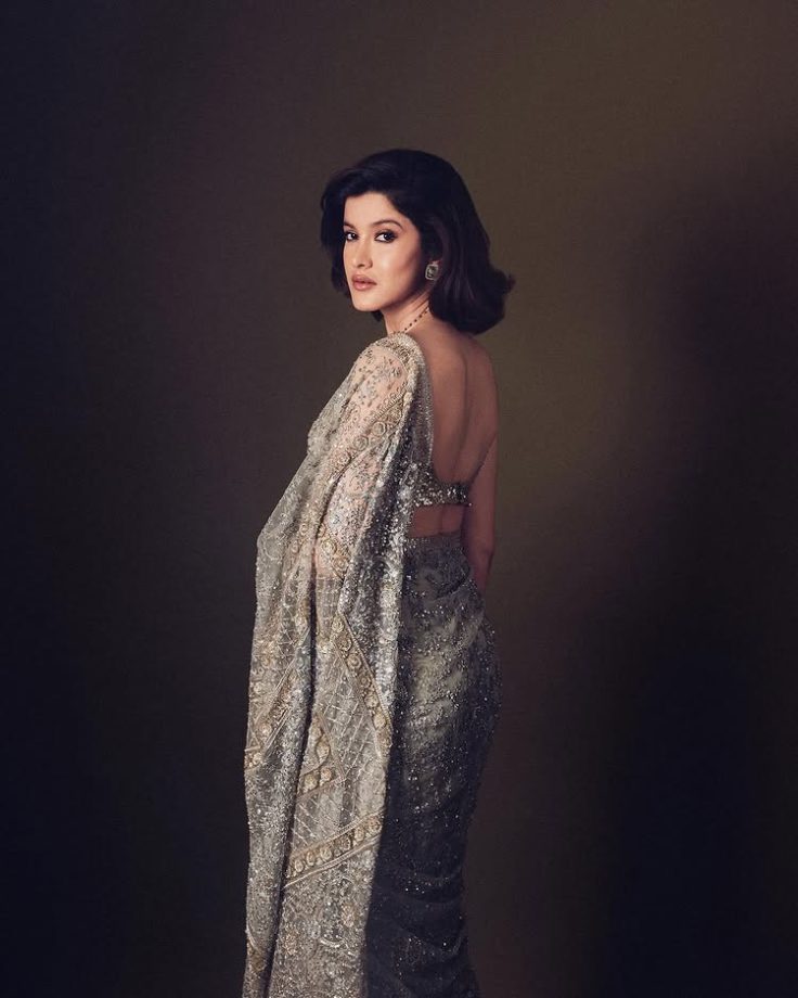 Shanaya Kapoor’s Silver-Gold Saree Elegance 952028