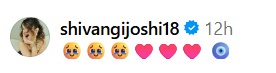 Shivangi Joshi's Sister Sheetal Joshi Soon To Get Engaged, Former Gets Emotional 950494